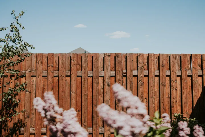 Wood privacy fence with flowering shrubs in Fresno, California