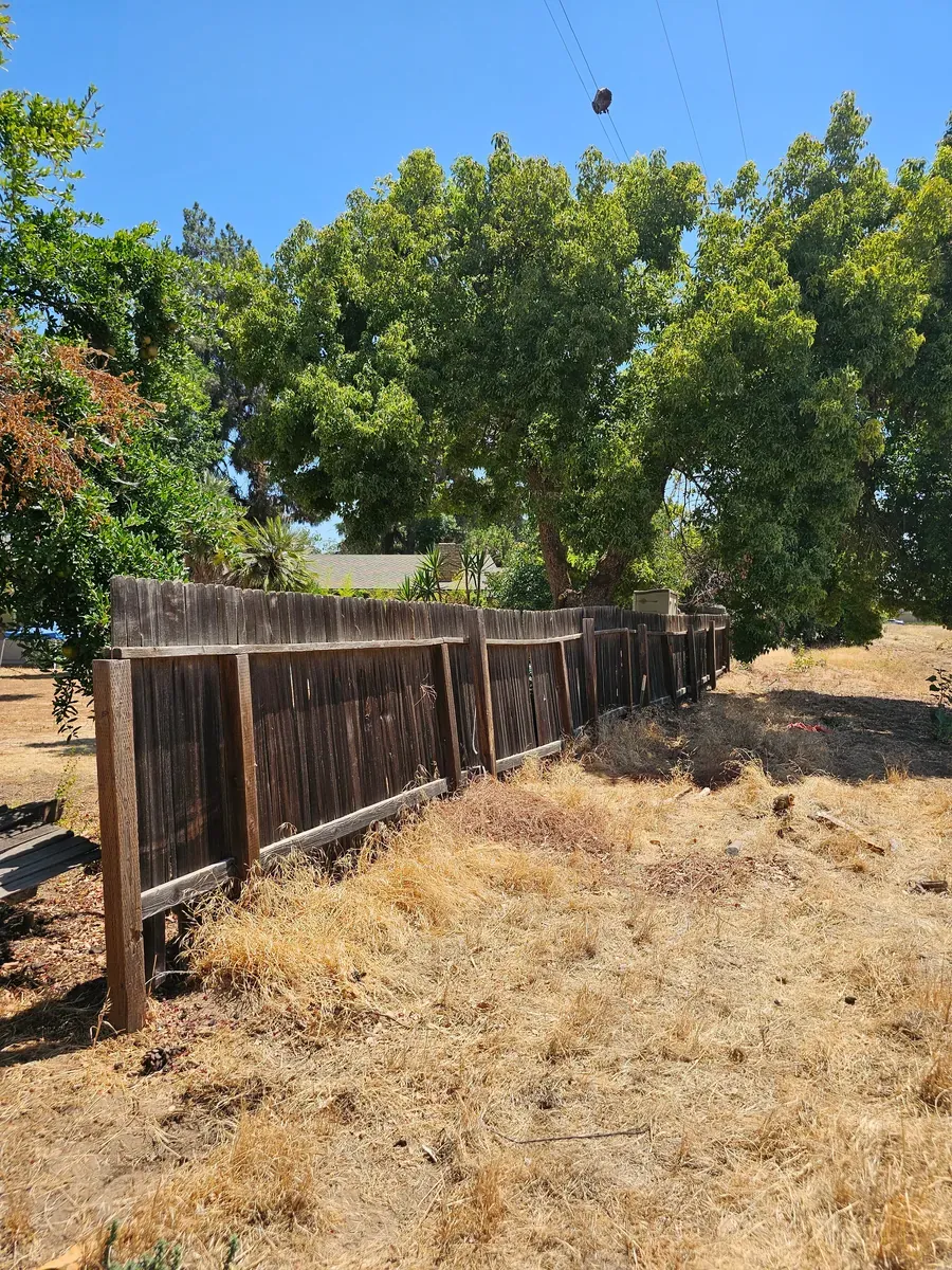 Weathered fence under a row of trees in Fresno, California